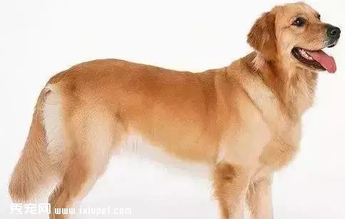 �����������ҳϵĹ���ָ��������������ο