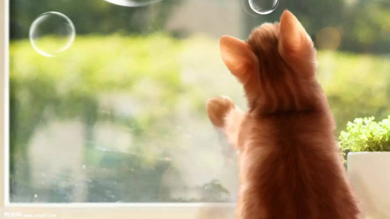 ���������������˵ĳ����������