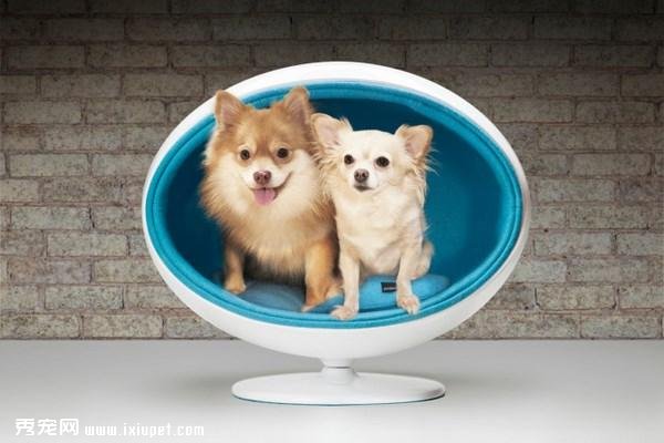 ������ʽ�Ĺ���С�ѡ�������ʱ�еĳ���Ҿ����