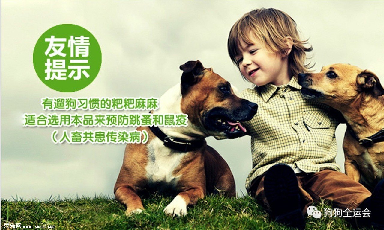 关于狗狗驱虫:闷热潮湿的8月份,是什么1变100?