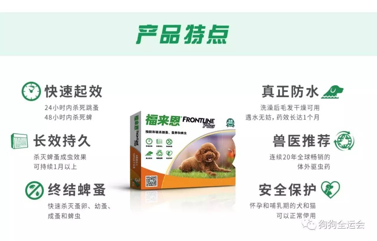 关于狗狗驱虫:闷热潮湿的8月份,是什么1变100?