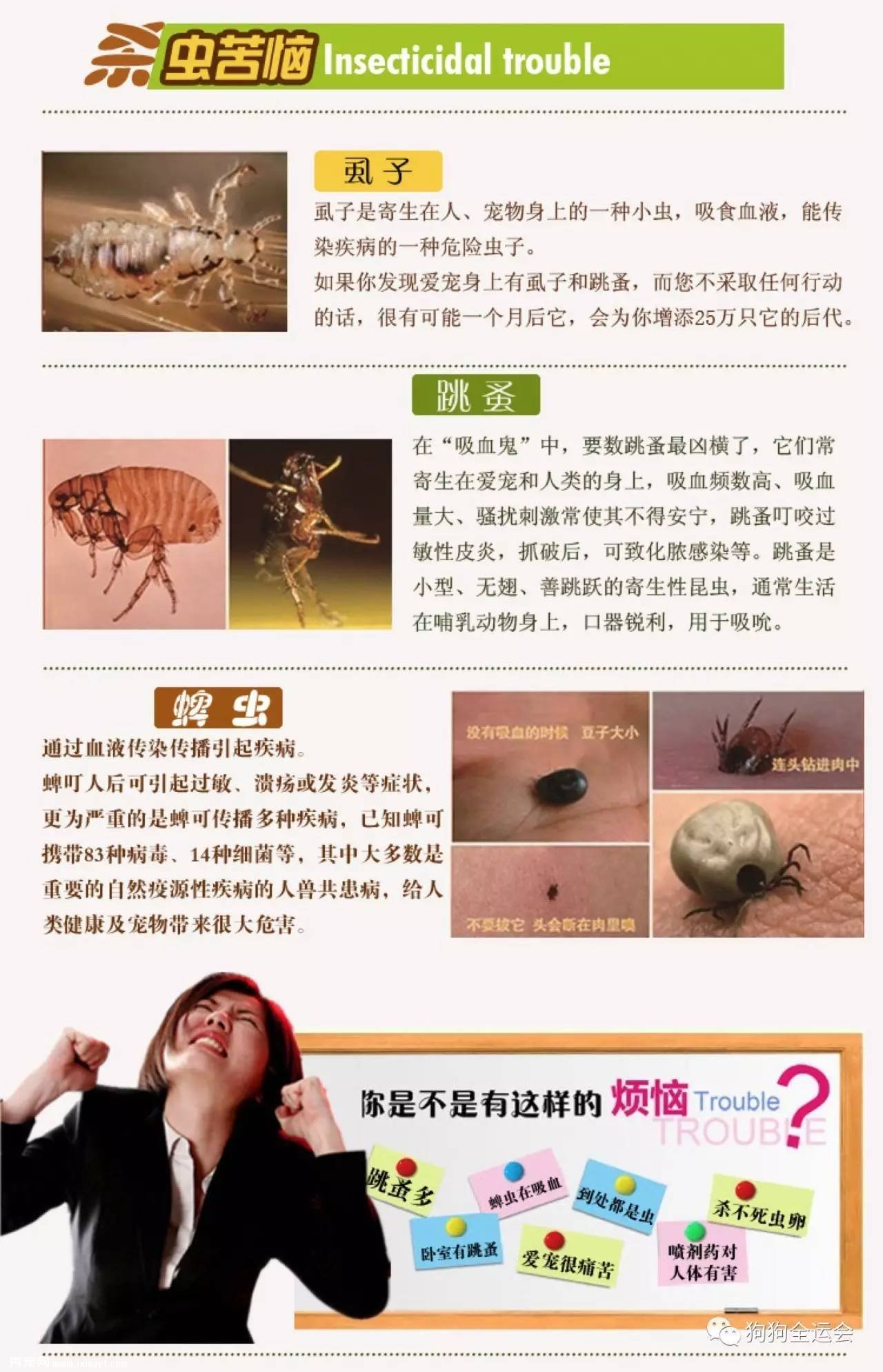 关于狗狗驱虫:闷热潮湿的8月份,是什么1变100?