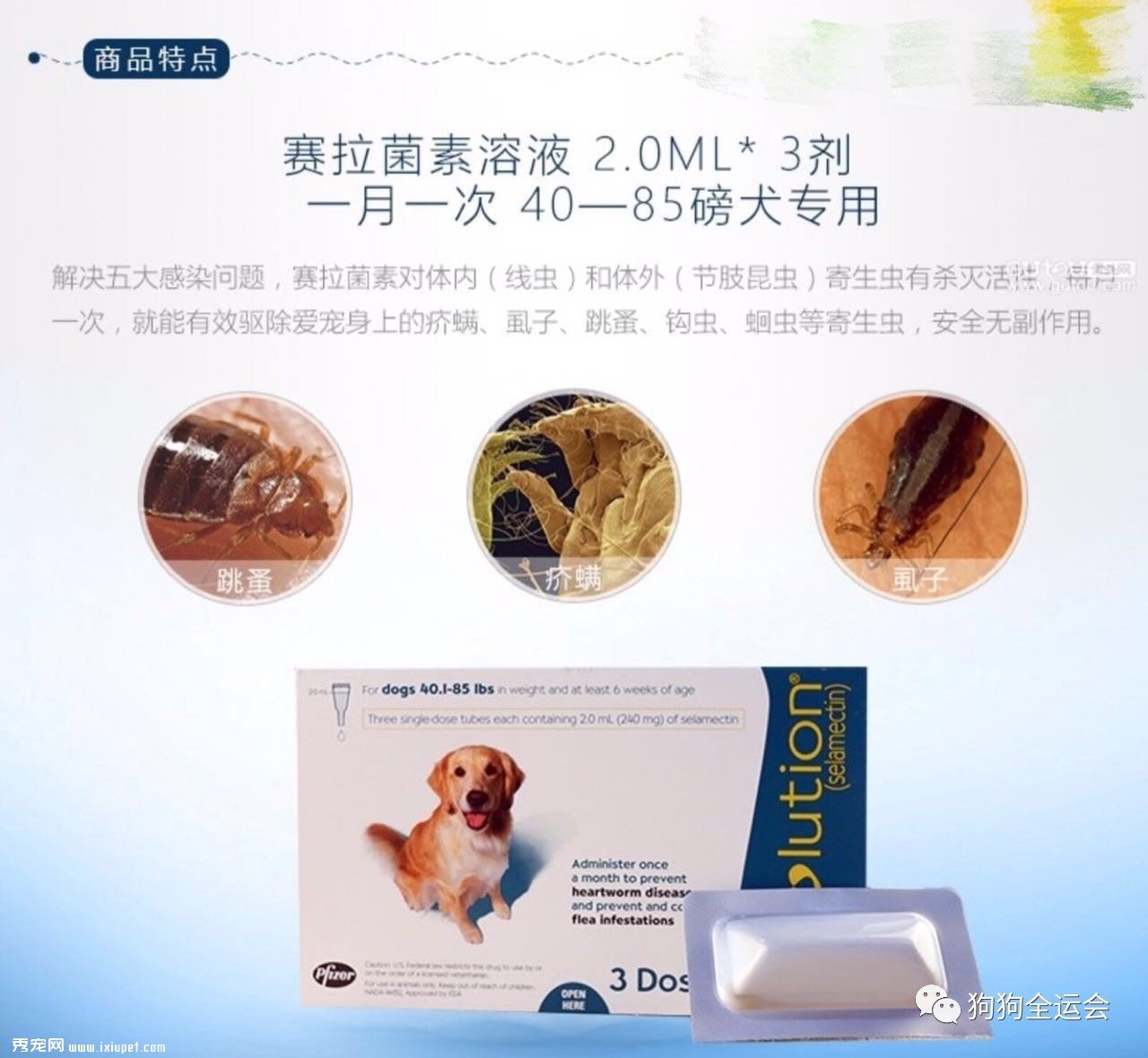 关于狗狗驱虫:闷热潮湿的8月份,是什么1变100?