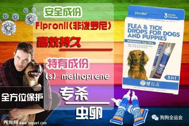 关于狗狗驱虫:闷热潮湿的8月份,是什么1变100?