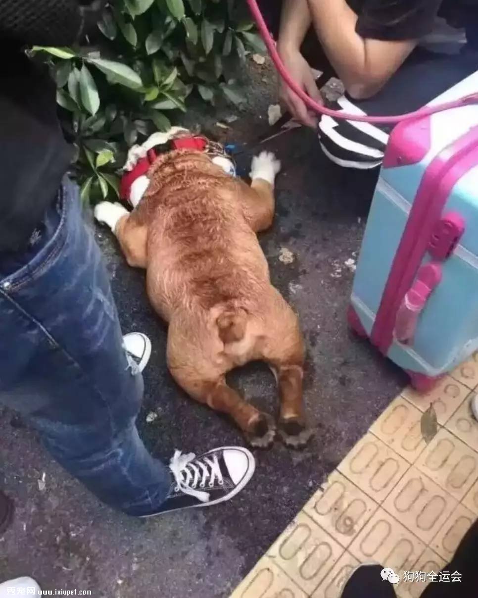 �����η����������