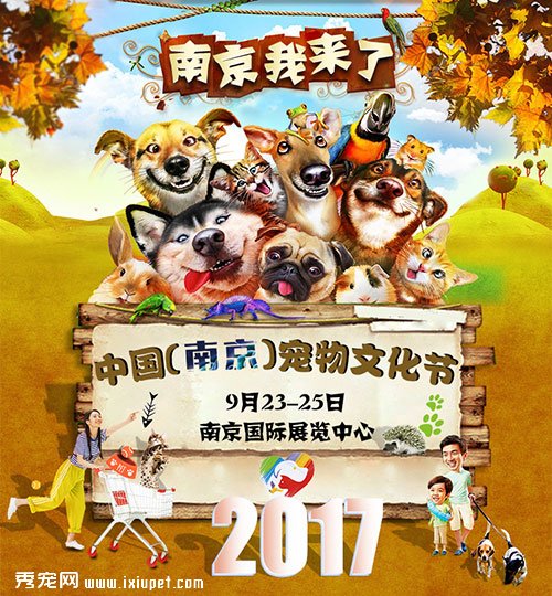 2017�Ͼ������Ļ���,��ǧ���ѵĿ�ſ