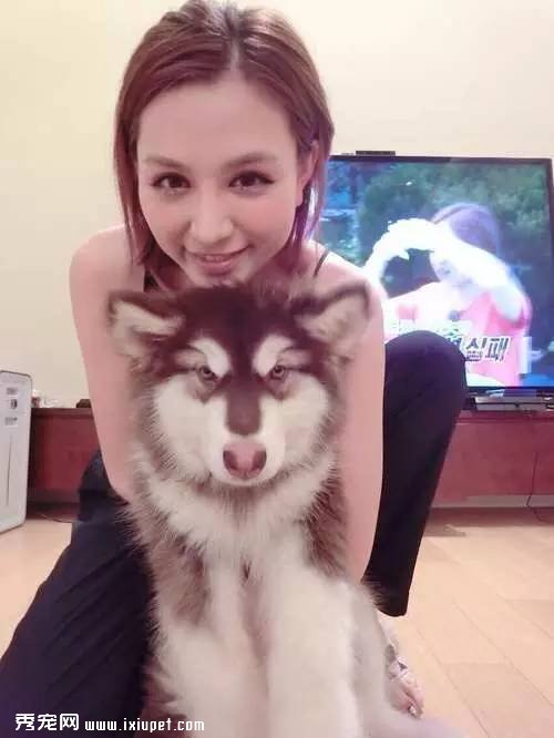 һ�껨����ǧ��Ԫ����ѧ������Ů�Գɳ����������壿