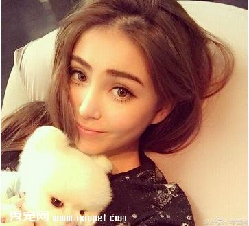 ��С贡����ܾ������裺���벻�� ���ںͳ����и�Լ��
