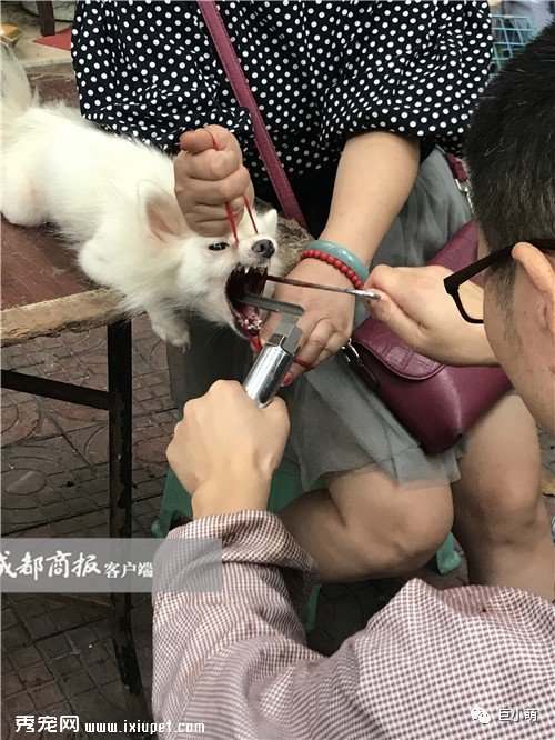 ��ͽ����� ���ﹷ�����ָ������