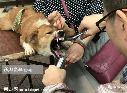 ��ͽ����� ���ﹷ�����ָ������