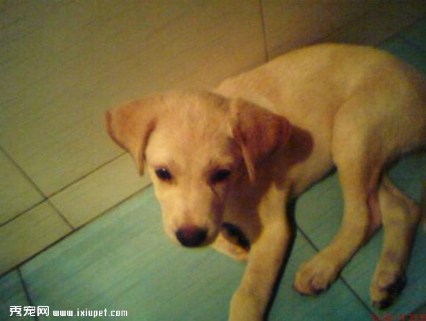 �ж����˵���ʵ���£�����Զ���²�����ֻ����Ű�ģ�