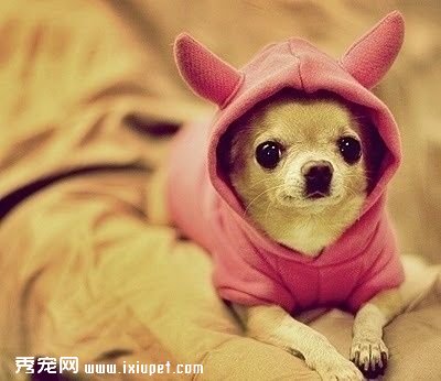 ���ﾭ�á����硱 �Ĵ������г���ģλ������֮��