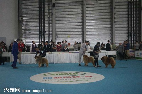 ���ޱ�Ȯչ10��3�տ�Ļ �����ȫ��ֱ��