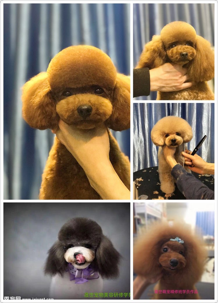 ����������������ѧУ������顾���бؿ���