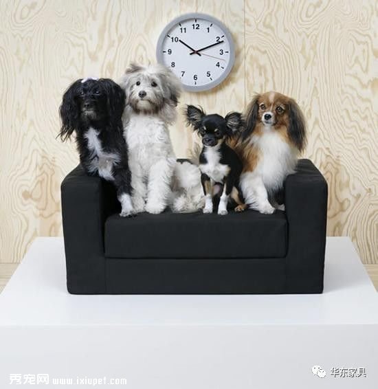 �˼��Ƴ��׸�����ϵ�У������ʺ�����ֺ���������