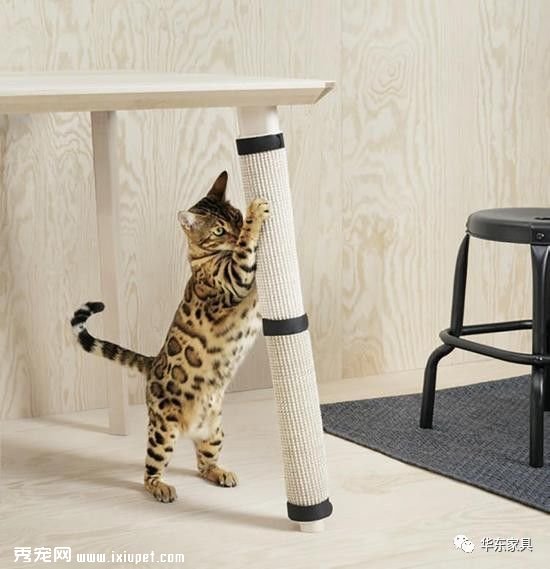 �˼��Ƴ��׸�����ϵ�У������ʺ�����ֺ���������