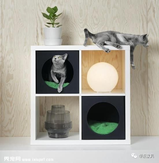 �˼��Ƴ��׸�����ϵ�У������ʺ�����ֺ���������
