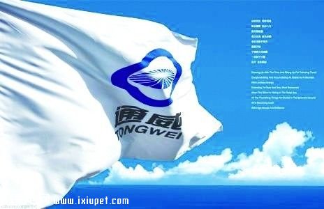 �й�������ҵ����Щ��ҵ���У�