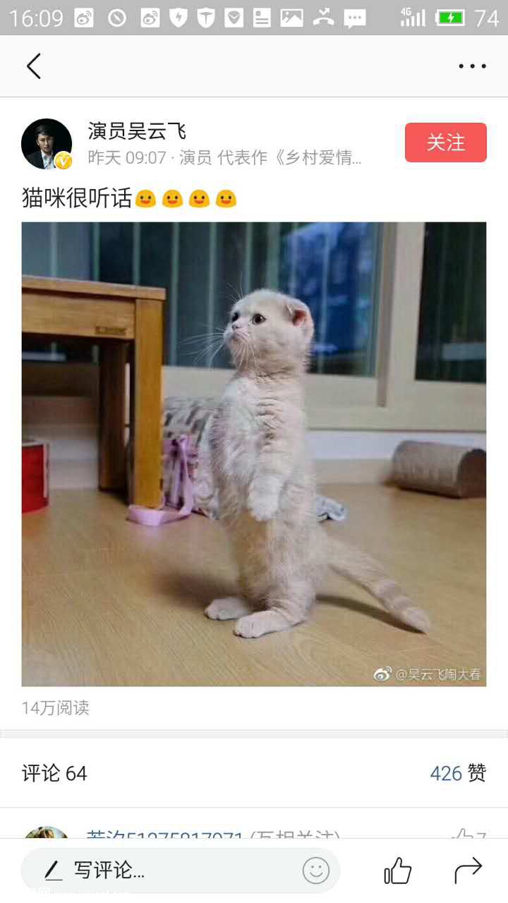 ���Ʒ�΢��ͷ������èͼ���ѣ�����������Ҫ��������
