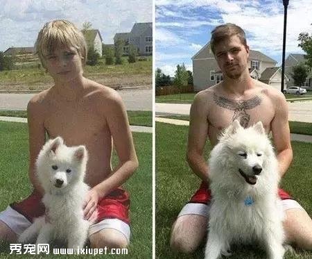 ����Щ�����������ɵȱ�ǣ�