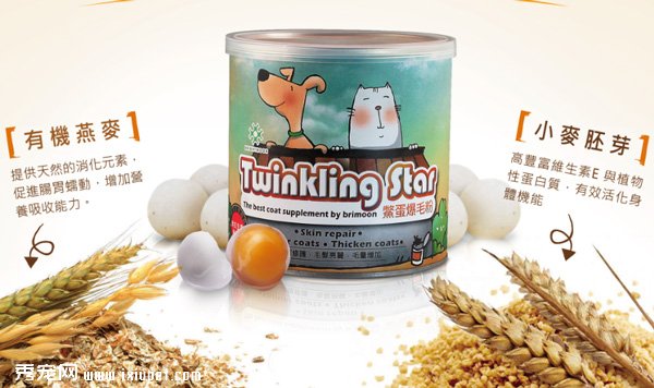 Twinkling Star ���ë�۵�����Ӫ��Ԫ���ó��������