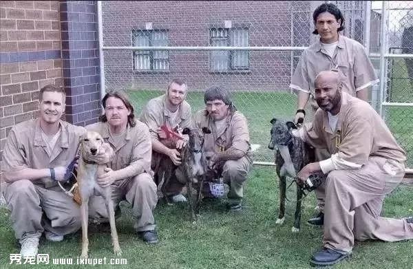 �����ľŴ�ô�����֪����