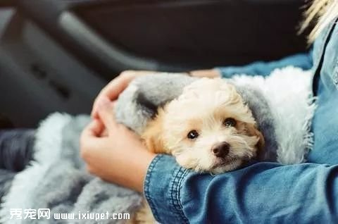 �����ľŴ�ô�����֪����