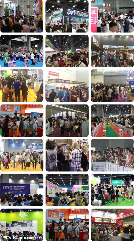CPF���ʳ販��2018����չ�����������רҵ���ڻ����