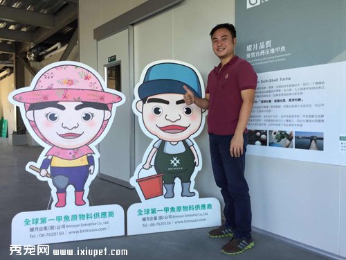 ̨��ҫ�³����죺�����Ч����������� ʹ�÷�Χ��
