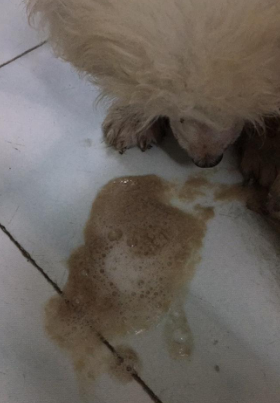 ���غ�����һ��·���������ڵ���Ļ����������������