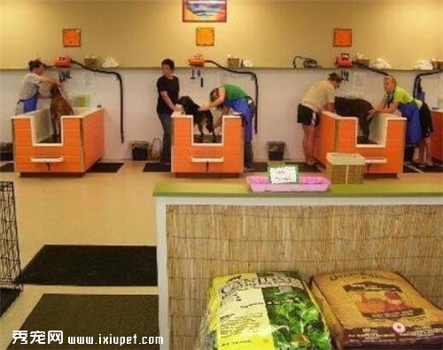 �����װ��Ч��ͼ��ע������