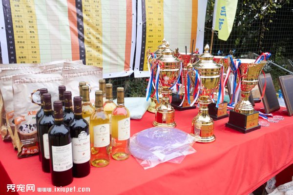 �����ر���CNDDI���̹�ȫ����������2017������Բ����Ļ