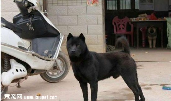 Ϊʲô�л���԰ȮԽ��Խ��,�̵���Щ����ʧ��Ȯ��