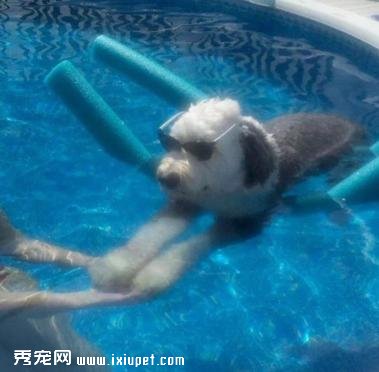����˼˵�Լ�����������������ñ����̫�࣡