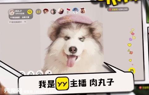 ����˼˵�Լ�����������������ñ����̫�࣡