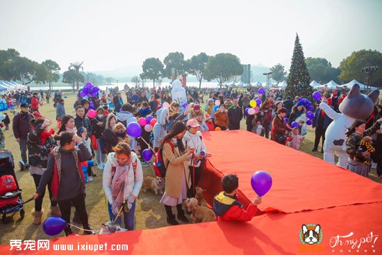 ������+�ȳ�+���س�����ߡ���۹�ʥ����������ת�����α�ѩ���ܽڣ�