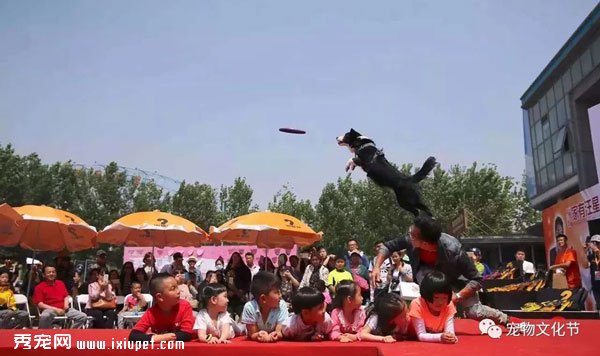 2018���й������Ļ���(����վ)����������Я��μӵĳ���չ��