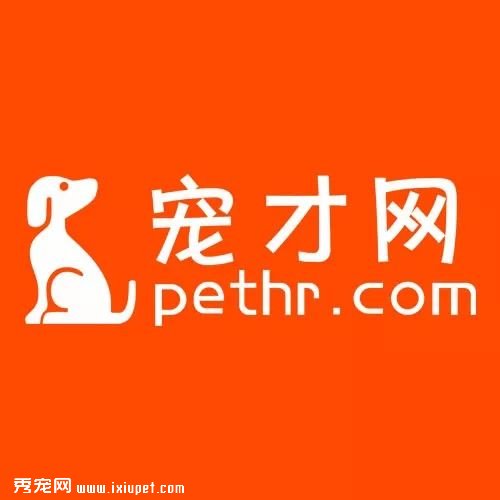 ��ҵý�������ھ����� �����й���ҵ֪ʶͼ��