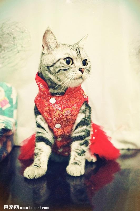 Ů�ӻ������Ϊ�����Ļ�ɴ�գ�������ŭ�������������⣡