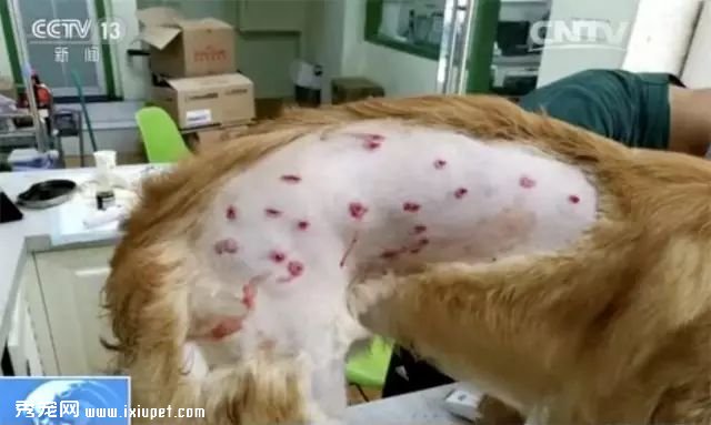 �Ϻ��������Ϸɻ�ע������