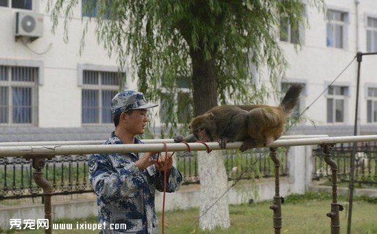 �������ӵ��ȱ� ���ӿ�������������취