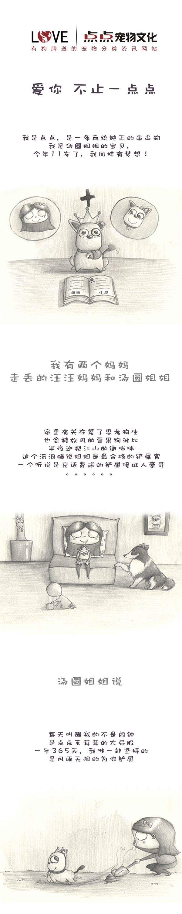 �ҽ�л���䣬����Բ���ҵ�è