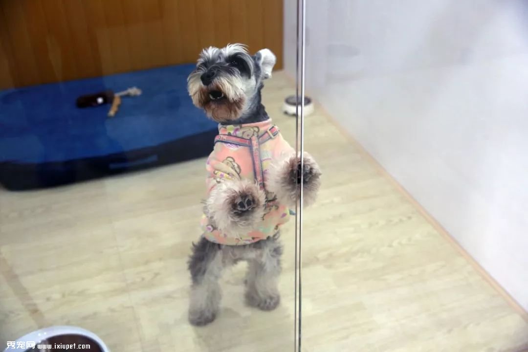 ������Щ���Ǽ�����Ƶ꣬����������ס����