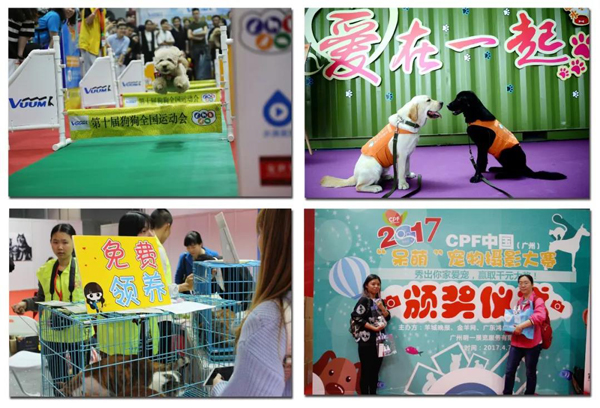 CPF���ʳ販�����չ���뵹��ʱ!�ֳ�����ʷ׳�