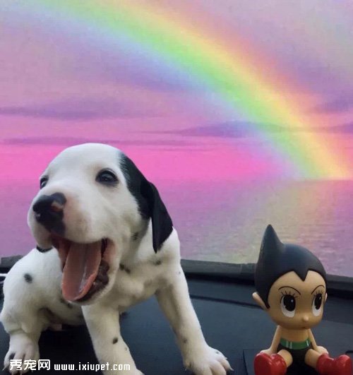 ���ǹ������˹�����»׬ȡ��Ц������