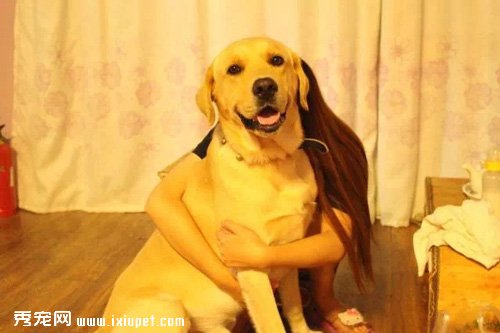 ���ǹ������˹�����»׬ȡ��Ц������