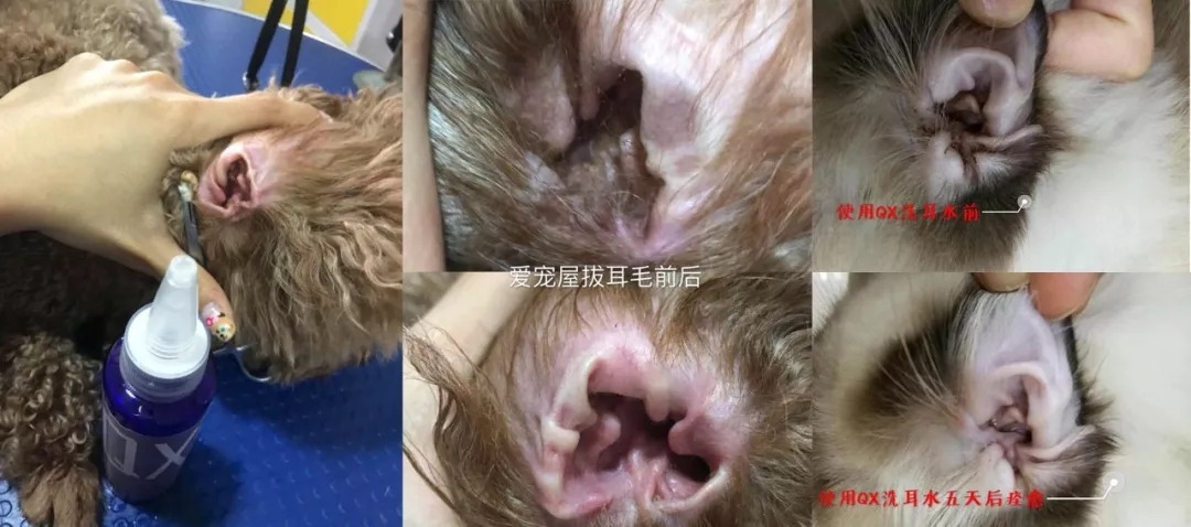 �������䷢�����кڶ������ƿ���������ɵ��..