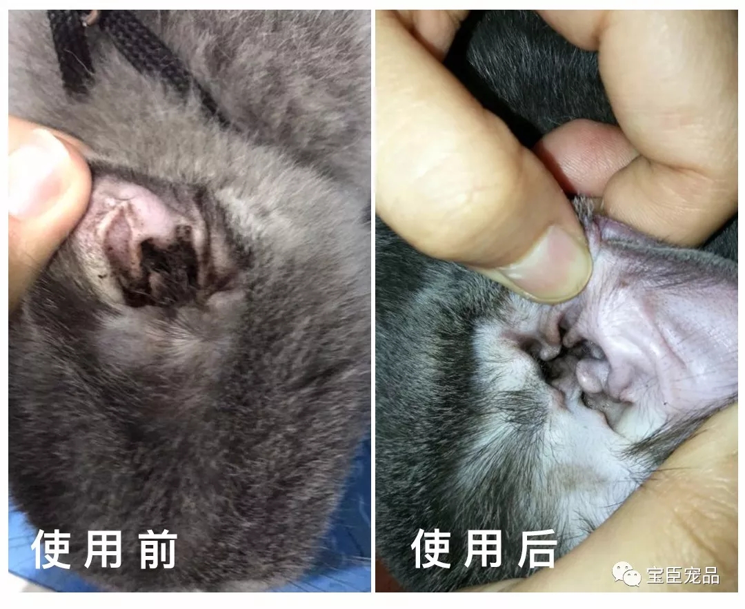 �������䷢�����кڶ������ƿ���������ɵ��..