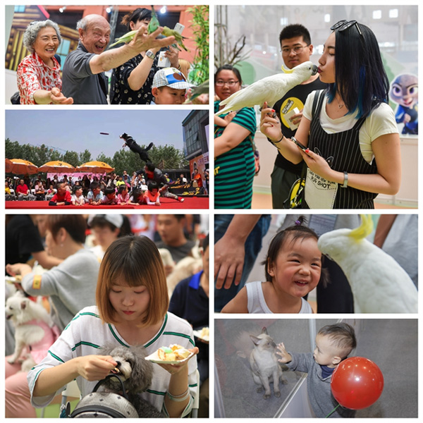 2018��3�±��������Ļ���-�й��˵ĳ����黳