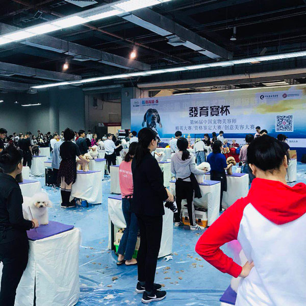 2018CPF���ʳ販�ῪĻ��һ�� �������ȼ���ֳ�